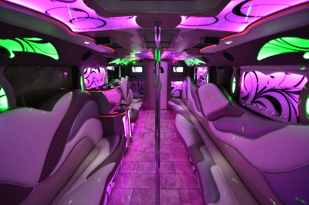 Markham Party Bus Party Bus School Bus Rental School Bus